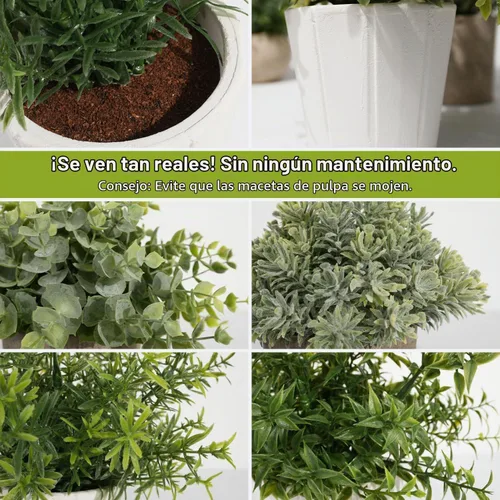 Vista 4 de Paquete de 4 plantas artificiales pequeñas para interiores