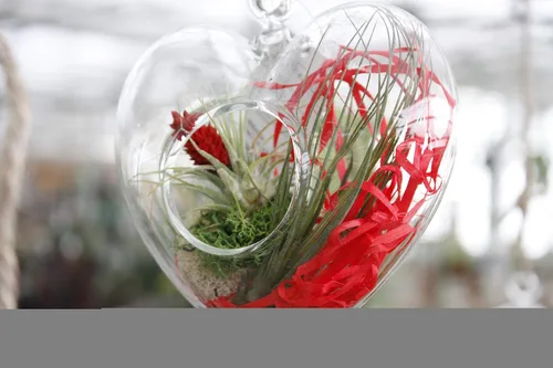 Vista 5 de WGV - Terrario colgante de cristal para plantas, ancho 5 pulgadas, altura 5 pulgadas, corazón de San Valentín, maceta de aire para suculentas, luz
