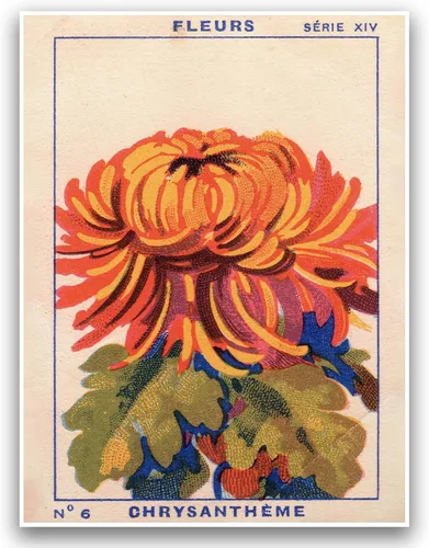 Vista 10 de Juego de 3 pósteres florales retro, imágenes de flores coloridas, póster moderno y colorido de arte de pared botánico bohemio de mediados de siglo