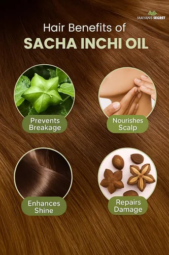 Vista 3 de Mayan's Secret Aceite de Sacha Inchi - Omega-3-6-9 orgánico certificado por USDA