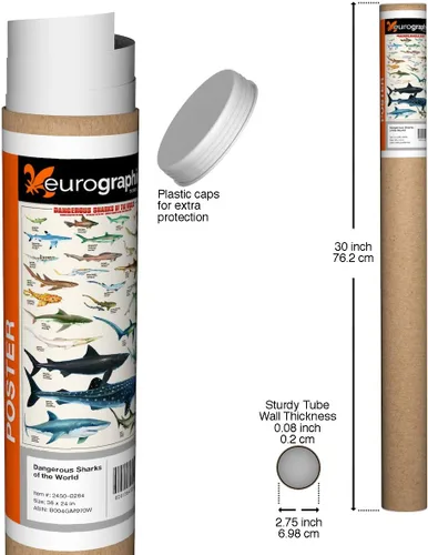 Vista 2 de EuroGraphics Póster de tiburones peligrosos, 36 x 24 pulgadas, color beige