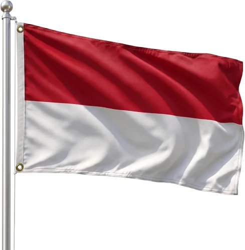 Vista 120 de DMSE - Bandera nacional beninesa beninesa de la República de África Occidental, 2 x 3 pies, 100 % poliéster, 100 % poliéster, resistente a los rayos
