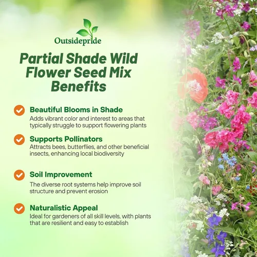 Vista 3 de Outsidepride Mezcla de semillas de flores silvestres de sombra parcial para todos los estados, mezcla premium de flores silvestres anuales