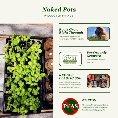 Vista 2 de Daniel's Plants Bandejas de plántulas Naked Pots de 2 pulgadas Bandejas de inicio de semillas plantables naturales Biodegradables