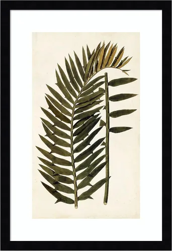 Vista 9 de Amanti Art Vision Studio - Lienzo decorativo para pared, 24 x 17 pulgadas, variedades de hojas VIII, arte de pared de naturaleza, decoración