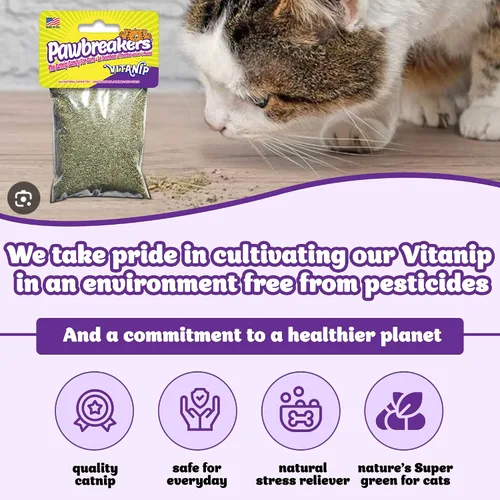 Vista 3 de Pawbreakers® Vitanip® Catnip Cat Treats & Toys - Suplemento nutricional felino Diamond V® - Hierba gatera segura y postbiótica para gatos