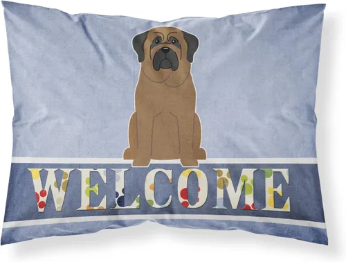 Vista 263 de Caroline's Treasures BB2515PILLOWCASE Between Friends Appenzeller Sennenhund - Funda de almohada de tela estándar, ligera, súper suave, fácil