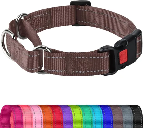 Vista 7 de Joytale Collar Martingale para perros, reflectante resistente para mayor seguridad, hebilla de liberación rápida, collares de nailon ajustables