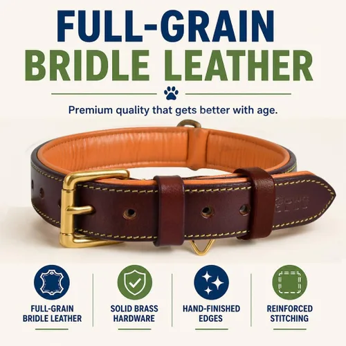 Vista 2 de Collar de perro de cuero para perros medianos, marrón, 1 pulgada de ancho, cuero genuino de grano completo, resistente con acolchado interior suave