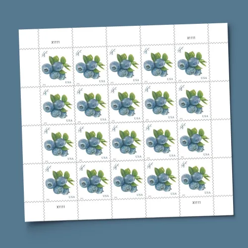 Vista 2 de Blueberries 2022 4 Cent (hoja de 20) Sellos postales adicionales denominados para uso por correo de cuatro centavos