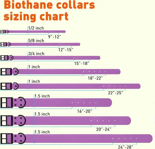 Vista 326 de Dogline Biothane - Collar impermeable para perro con hebilla de liberación rápida, resistente cincha de nailon recubierta con resistente y a prueba