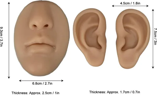 Vista 4 de Modelo de silicona para nariz, modelo de entrenamiento de piercing, modelo de oreja de silicona para principiantes, modelo de nariz y boca 3D