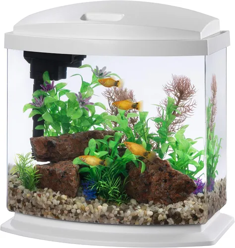 Vista 10 de Aqueon Kit de Acuario Pequeño LED MiniBow con Tecnología SmartClean, Azul, 1 Galón
