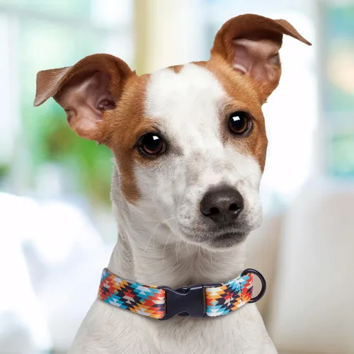 Vista 5 de Western Dog Collar Personalized with Serape Aztec Tribal Design, Soft & Comfortable Polyester With Quick Release Buckle - Custom Southwest Puppy