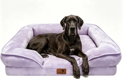Vista 35 de Spotted Play Cama ortopédica para perros con lados, sofá cama para perros pequeños, sofá cama de espuma de apoyo para mascotas con funda extraíble