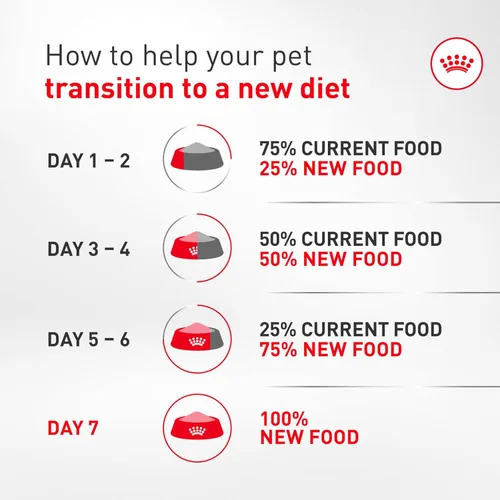 Vista 12 de Royal Canin Chihuahua - Alimento seco específico para perros de raza adulta, bolsa de 2.5 libras Breed Specific Nutrition, Supports Healthy