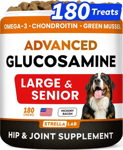 Vista 10 de STRELLALAB Suplemento avanzado de glucosamina para cadera y articulaciones para perros y caballos mayores, mejillón y colágeno de labios verdes