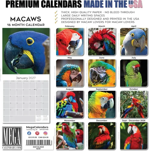 Vista 494 de Calendario de grises africanos 2025 2026 – Planificador mensual de pared de aves africanas – 12 x 18 pulgadas (abierto), calendario de pared