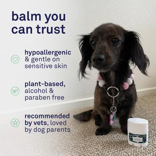 Vista 4 de Bálsamo para perros - Crema nutritiva que alivia la picazón y las patas secas del perro con ingredientes hidratantes - Aceite de coco orgánico