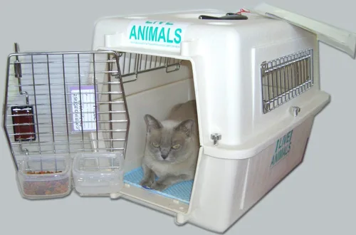 Vista 4 de DryFur Almohadillas de inserción para transportar mascotas tamaño pequeño 19.5 x 12.5 pulgadas, color azul, paquete de 2, diseño patentado que