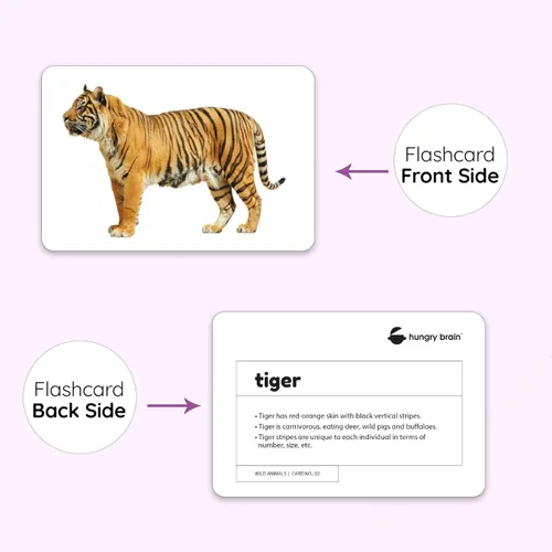 Vista 4 de Hungry Brain Tarjetas didácticas de números para niños pequeños de 1 mes a 6 años Tarjetas de aprendizaje de números Montessori para niños