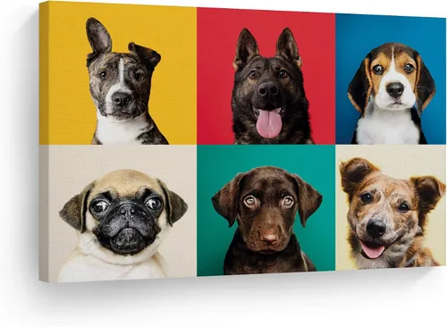 Vista 13 de Diseño de arte de la sonrisa Retrato de lindo Yorkie Yorkshire Terrier perro animal lienzo de pared impresión arte del dueño de mascotas amante