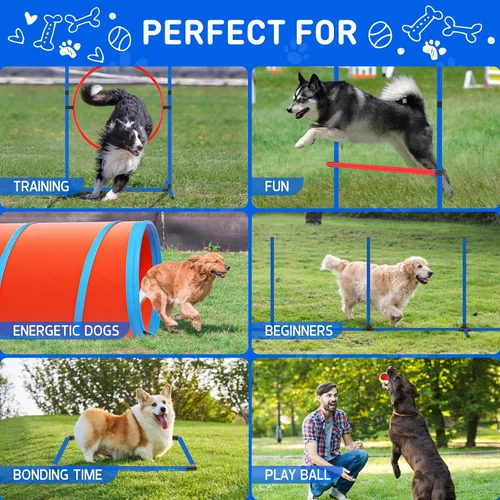 Vista 6 de Juego de equipo de entrenamiento de agilidad para perros, kit de entrenamiento de agilidad para carreras de obstáculos para cachorros, incluye 2