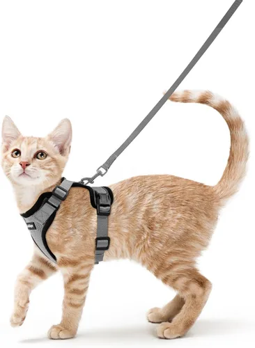 Vista 71 de rabbitgoo Cat Harness and Leash Set, Escape Proof Vest, XXS, Berry Pounce Soft Breathable Mesh, No-choke Adjustable Fit, Snap Buckles, Sturdy