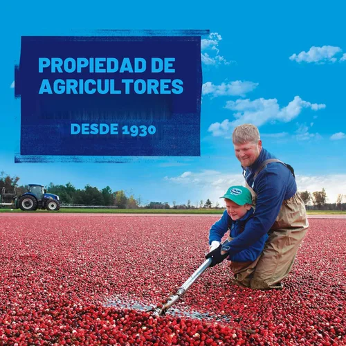 Vista 10 de Ocean Spray® Craisins® Arándanos Rojos Secos Originales, Fruta Seca, 48 oz