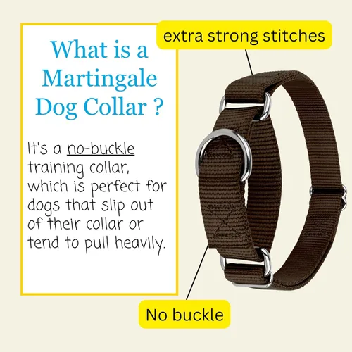 Vista 5 de Country Brook Petz - Collar de perro martingala, collar de entrenamiento resistente sin hebilla, collar de perro de servicio para todos los Marrón