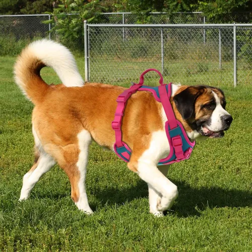 Vista 8 de Wolfone Arnés sin tirones para perro, ajustable, suave, acolchado, chaleco para mascotas, con asa de control, adorable arnés diario para perros