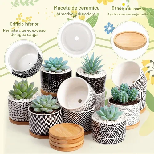 Vista 4 de Threehoney 12 macetas de cerámica para suculentas de 3.14 pulgadas