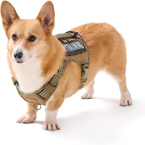 Vista 36 de Arnés para perro sin tirones para perros de tamaño pequeño, chaleco ajustable para caminar fácilmente, material Oxford transpirable, tiras Verde