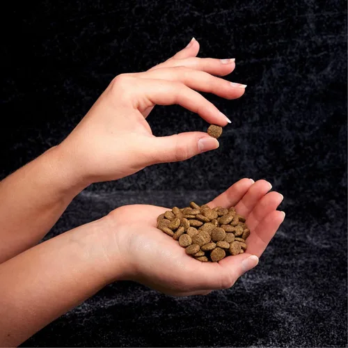 Vista 9 de Alimento seco para gatos CRAVE alto en proteína, sin cereales