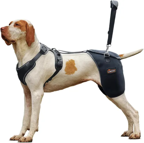 Vista 3 de Soporte de cadera transpirable para perros grandes, soporte ortopédico canino ajustable para displasia de cadera, perfecto para apoyar a