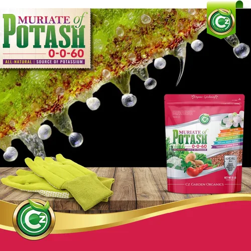 Vista 6 de Muriate de potasa 0-0-60 fertilizante fabricado en EE. UU. - MOP alimento potásico para plantas y jardines de flores – ¡Promueve grandes flores!