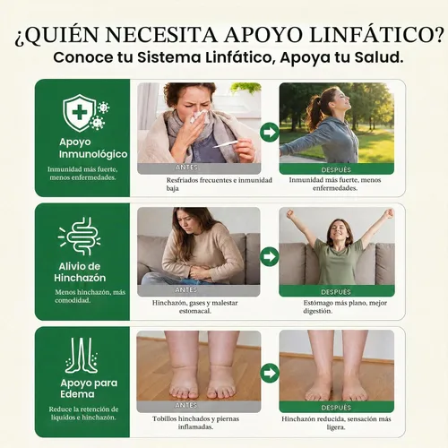 Vista 6 de Drenaje linfático: gotas de drenaje linfático, limpieza y alivio de la hinchazón que apoya la salud linfática (2 onzas líquidas)