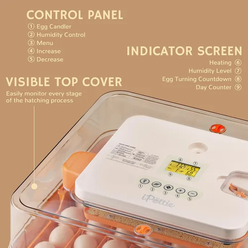 Vista 3 de iPettie - Incubadora de huevos para incubar huevos con giro automático