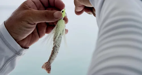 Vista 3 de Berkley Gulp! Shrimp Saltwater Fishing Soft Bait Camarones Naturales