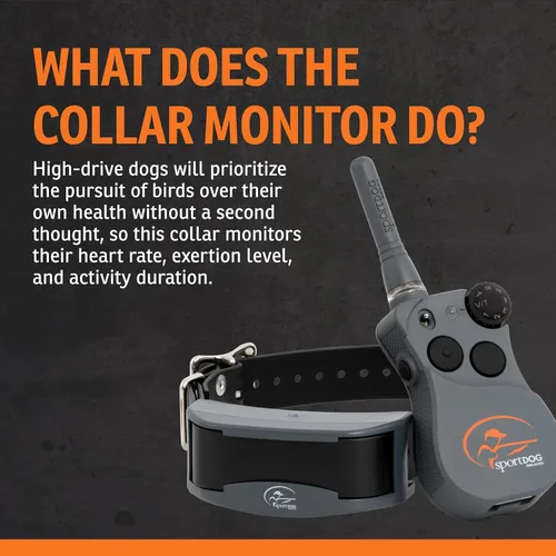 Vista 6 de SportDOG FieldSentinel 825 - Entrenador remoto con alertas de salud de guardaespaldas, monitorea la frecuencia cardíaca y el esfuerzo - Entrenador