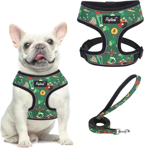 Vista 61 de PUPTECK Juego de arnés y correa de malla suave para perro, cachorro y gato, cómodo chaleco acolchado sin tirones, azul Pascua, S