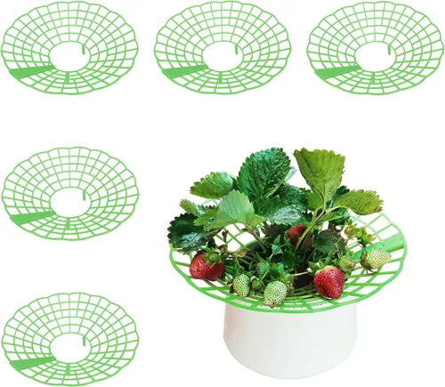 Vista 9 de SooGree Paquete de 5 soportes de fresa, soportes de fresa para jardín, jaula de plantas de frutas, bandeja de plástico para mantener las fresas