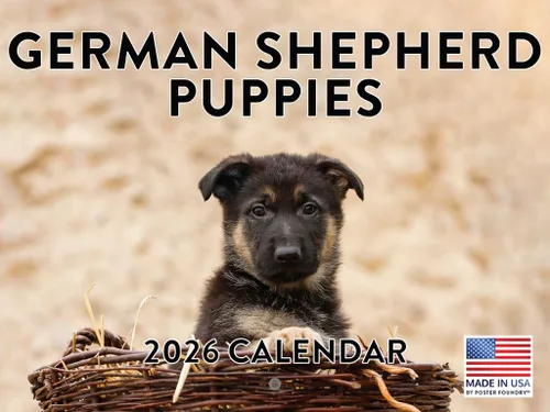 Vista 31 de Calendario mensual de pared Airedale Terrier Dog 2027 rojo (Airedale Terrier)