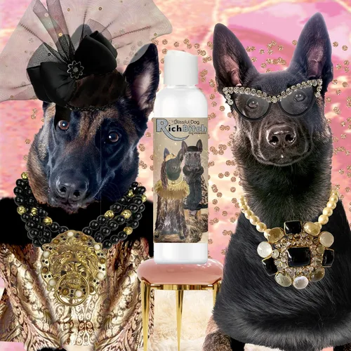 Vista 4 de The Blissful Dog Champú Belgian Malinois Rich Bitch Dog de 4 oz.