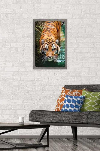 Vista 2 de Trends International Tiger - Póster de pared de agua, 14.725 x 22.375 pulgadas, versión enmarcada de madera de granero