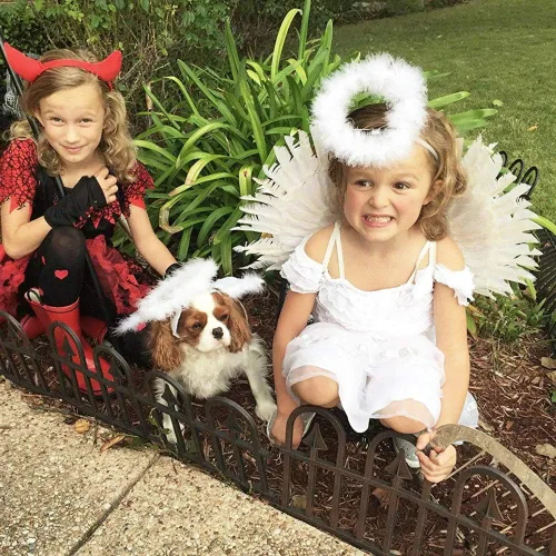 Vista 5 de Alas de ángel y halo para adultos alas de ángel blancas para niños disfraz de fiesta para niños regalo de Halloween y Navidad