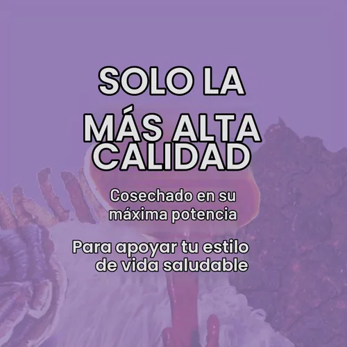 Vista 8 de Host Defense Mushrooms Extracto de Melena de León - Suplemento Líquido de Melena de León para la Salud Cerebral - Soporte de Hongos para el Enfoque