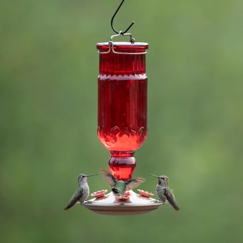 Vista 9 de Perky-Pet 8119-2 - Alimentador de colibrí con forma de botella, estilo antiguo y de color rojo