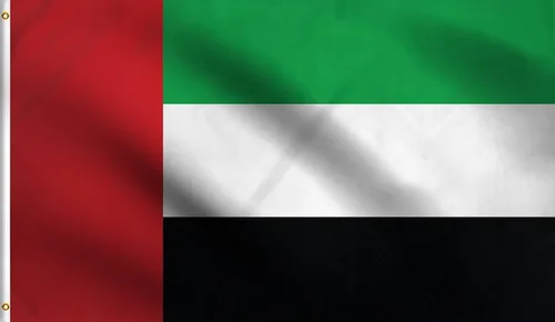 Vista 129 de DMSE - Bandera nacional beninesa beninesa de la República de África Occidental, 2 x 3 pies, 100 % poliéster, 100 % poliéster, resistente a los rayos