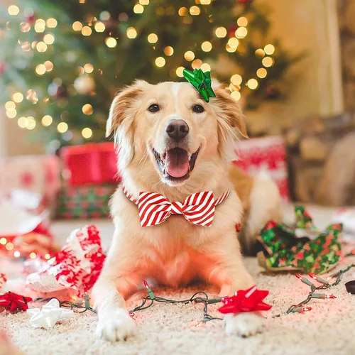 Vista 2 de Malier Lindo collar de Navidad ajustable con corbatín, rayas clásicas para perros y gatos pequeños a grandes (rayas rojas, mediano)